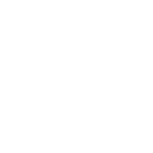 アルタヴィア_熱意